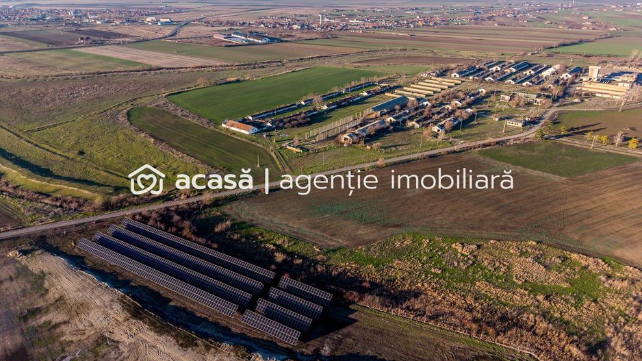 NĂDLAC | Teren 1.15 HA lângă Autostradă | 2.500mp Hale - Poză 4