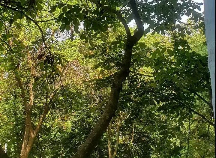 Apartament 2 camere de vanzare metroul Raul Doamnei - Poză 1