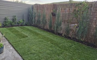 Apartament 2 camere – Chinteni - Poză 8