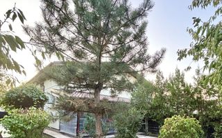 Casa cocheta, Corbeanca, langa padure - Poză 7