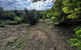 Teren intravilan 2.099 mp pe DJ 248, Lunca Cetățuii / Ciurea - Poză 2