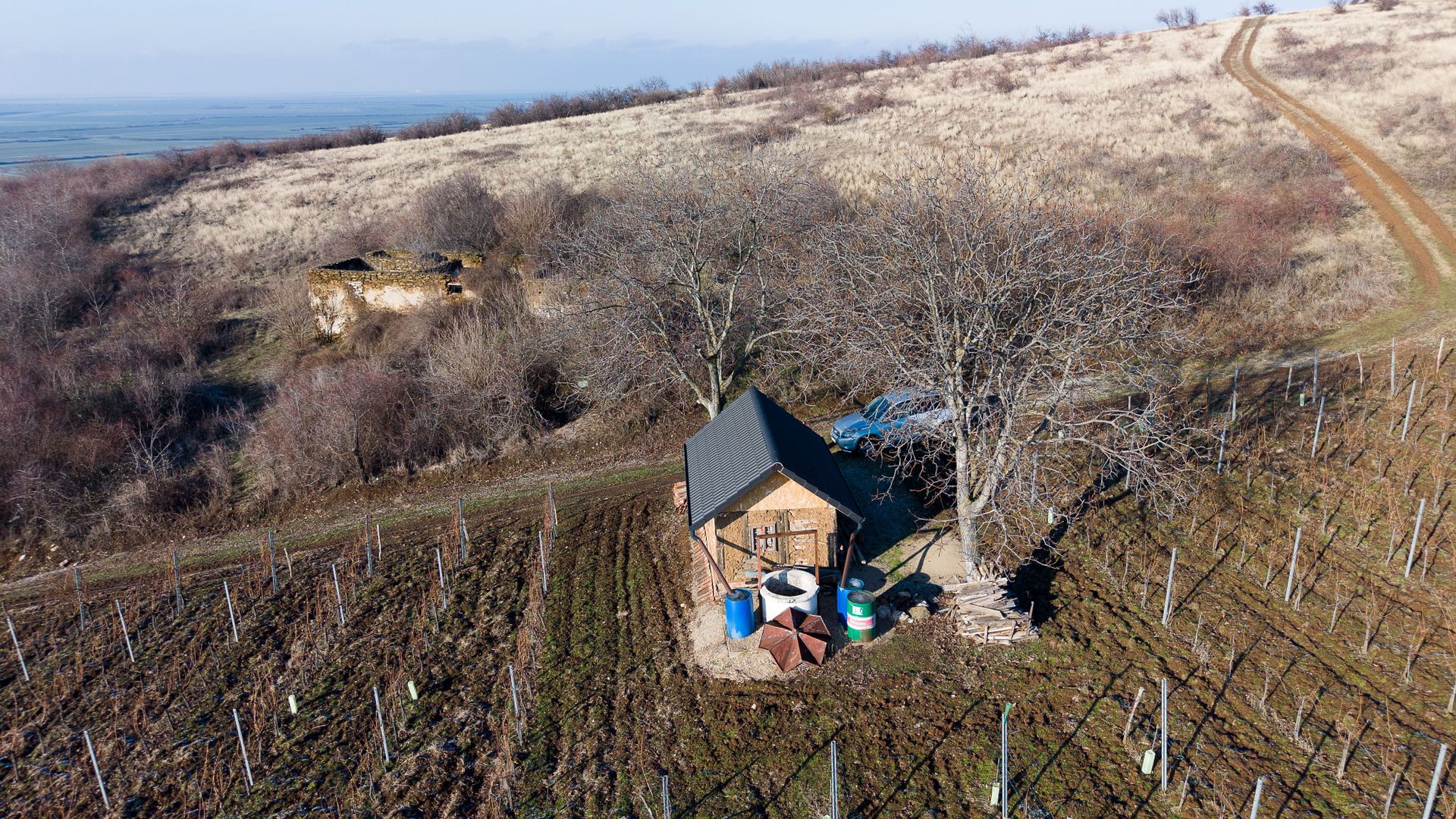 Vita-de-vie Premium  teren de 6800 mp în Covăsinț - Poză 10