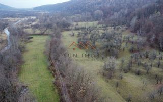 Teren 36000 m2, intravilan+partial extravilan, cadastru, Draganeasa PH - Poză 10