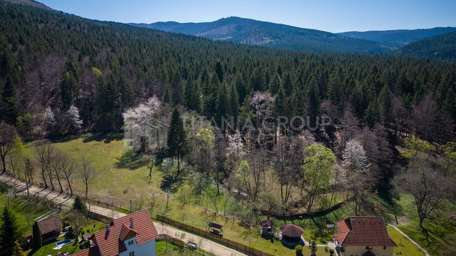 Teren intravilan, pretabil pentru casa de vacanta, 2000 mp - Poză 12