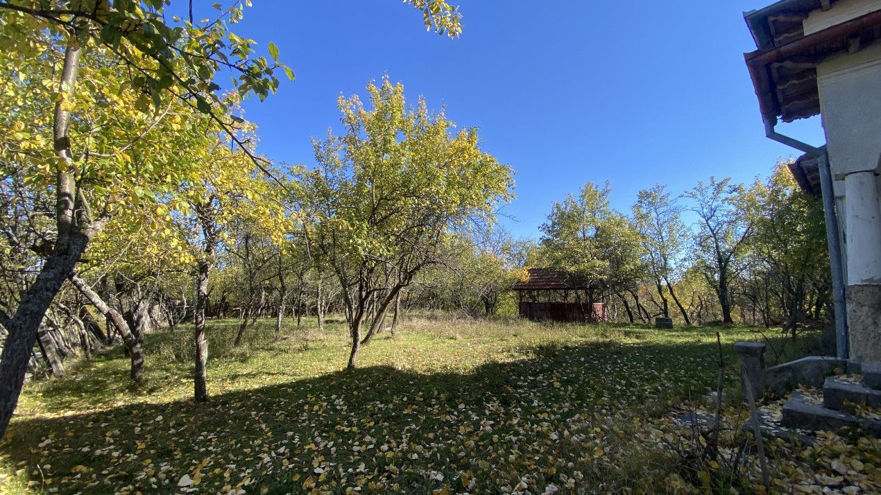 Casa+teren 2713 mp in loc. Babana, jud. Arges. Comision 0% - Poză 3