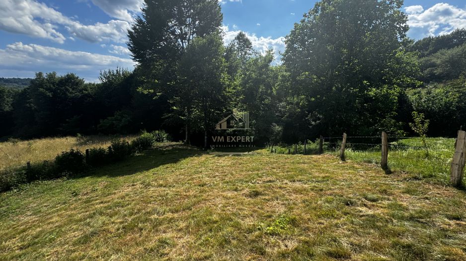 TEREN INTRAVILAN,  SUPRAFAȚA 3446 MP, BUGHEA DE SUS, ARGES - Poză 18