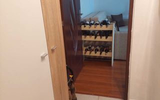 Apartament primitor, 2 camere in Alexandru cel Bun - Poză 8