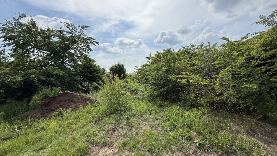 Teren intravilan 498,02 mp langa pădure , strada privata Corbeanca - Poză 11