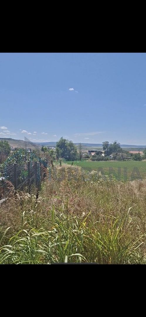 Teren intravilan de 1800 mp în Iași, zona Lețcani - Poză 2