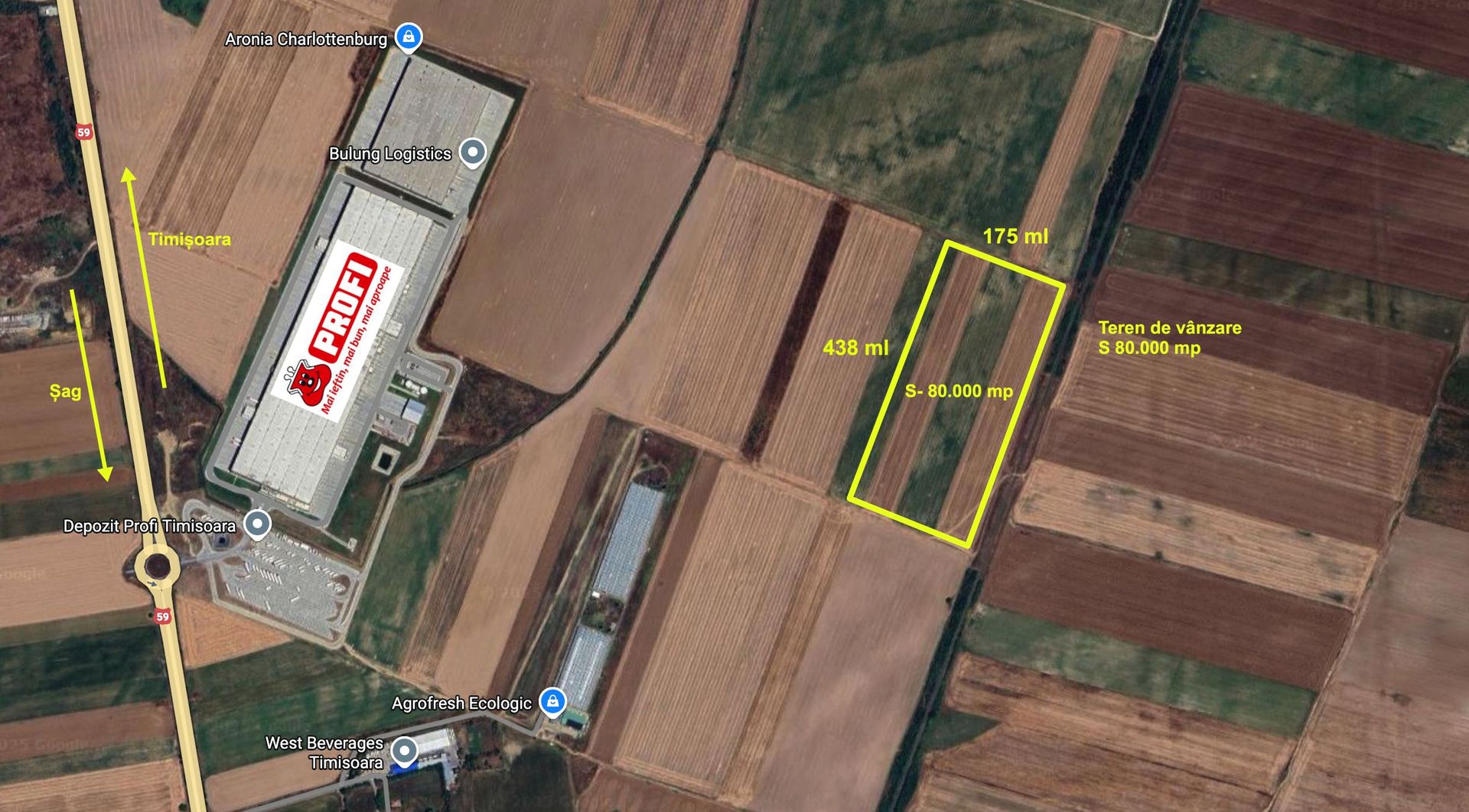 Teren extravilan 80.000 mp – lângă calea ferată & Profi Logistic – Șag - Poză 1
