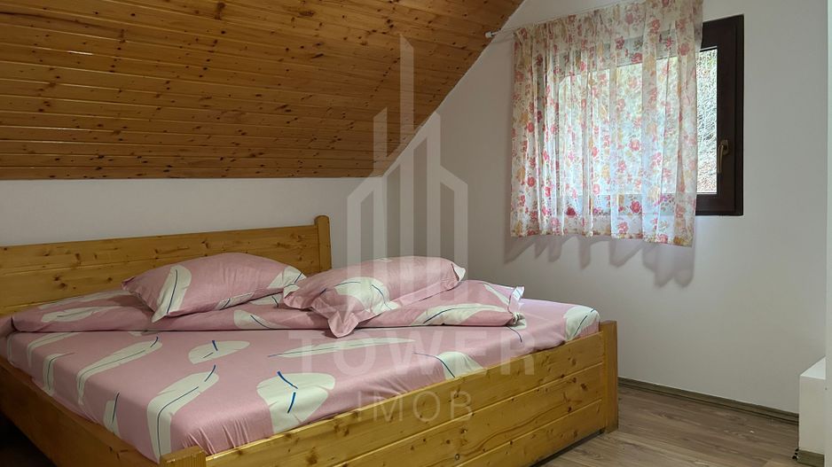 Casă de vacanță în Râu Sadului - Poză 10