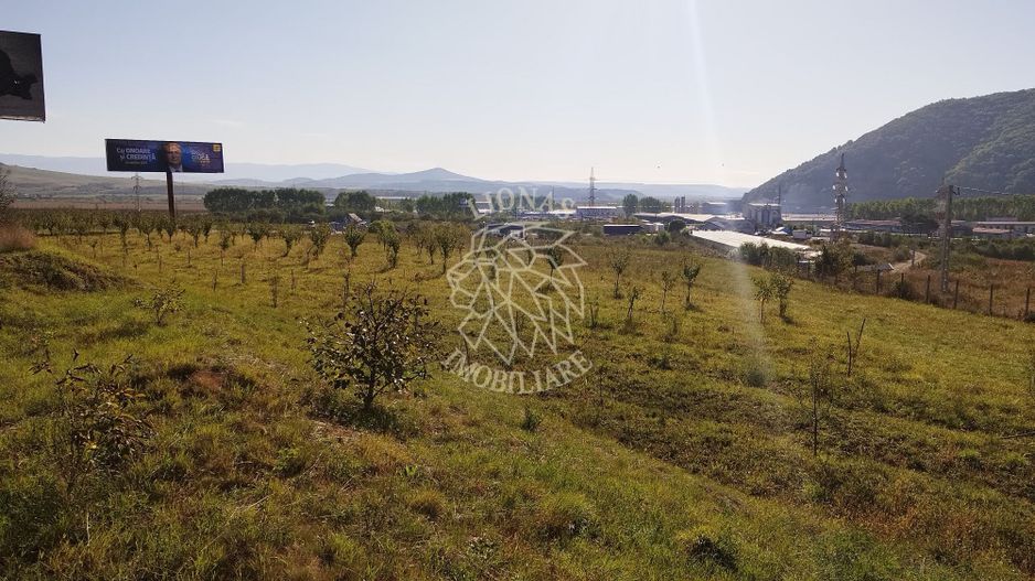 Teren intravilan 1,5 Ha-Parcelabil-Sieu Magherus, Zona Teraplast - Poză 3