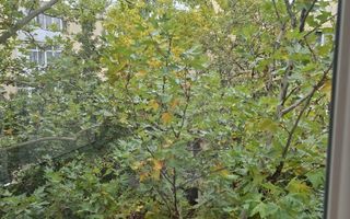 Inchiriere | 2 Camere | Moinesti - Gorjului | Centrala Proprie - Poză 15