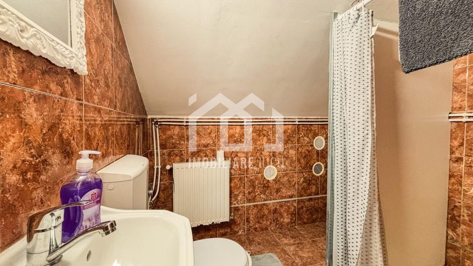 Casa individuala cu 12 camere, Potential Turistic, Visea, Comuna Jucu - Poză 32