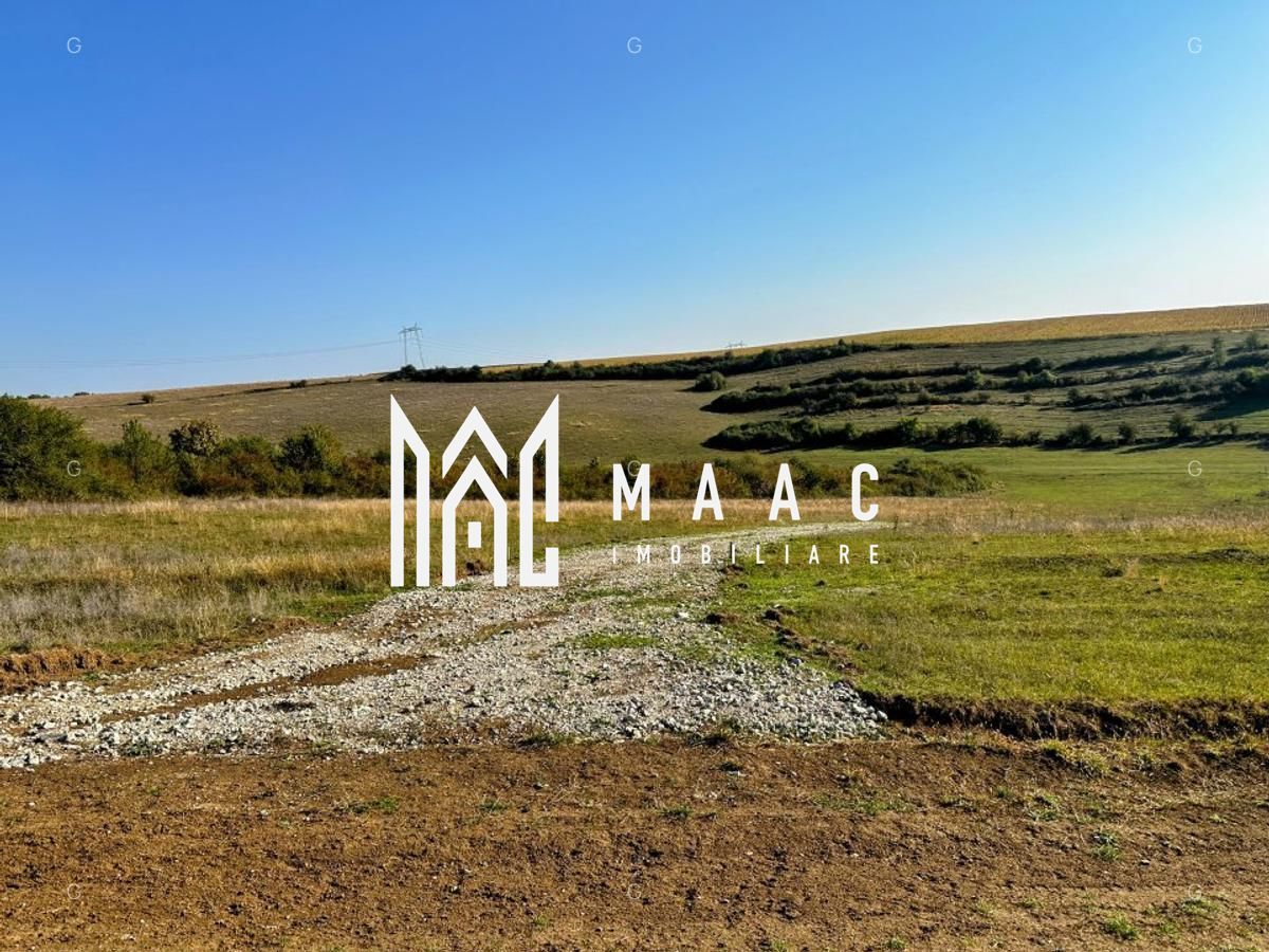 Teren | 651MP | Extravilan | Rusciori - Poză 4