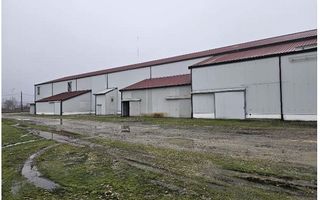 Proprietate industrială  Platformă logistică de vânzare în Tinca - Poză 4
