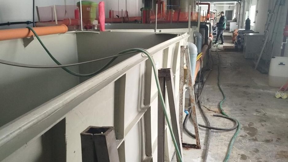 Pensiune + fermă piscicolă (sturion/caviar) | Saru Dornei/Sarisor - Poză 5