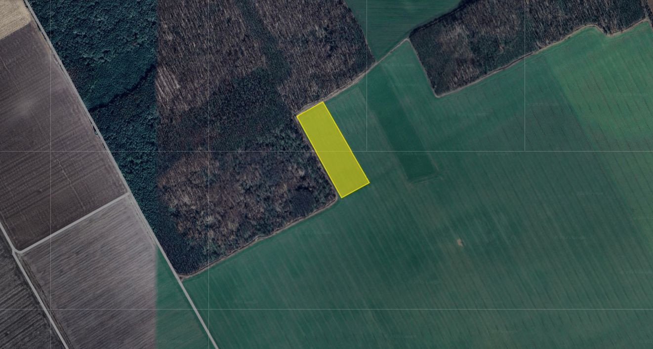 Teren excelent pozitionat cu doua laturi padure - Poză 1