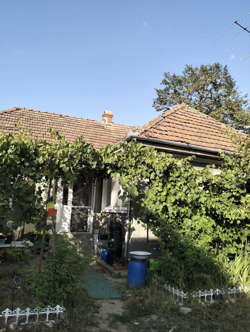 Casa 81mp, teren 81 ari, anexe, pomărie tânără de meri de vânzare - Poză 1