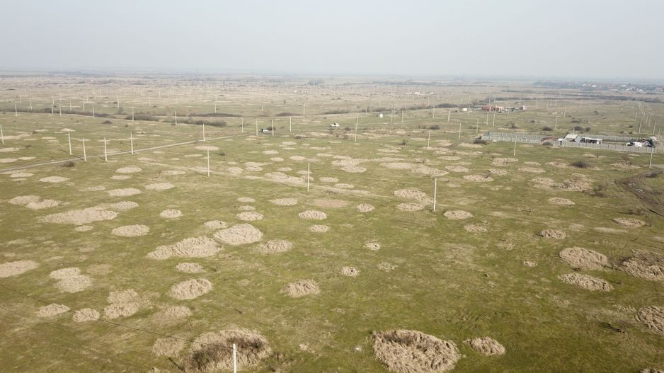 TEREN CASA / DUPLEX MOSNITA NOUA - ALBINA - Poză 6