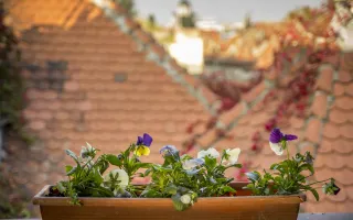 Duplex de vanzare in Cotroceni - 171mp COMISION 0% - Poză 16