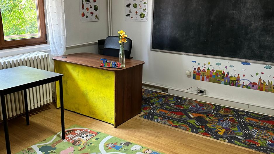 SPATIU COMERCIAL DOMENII, LOC PARCARE, CENTRALA, MOBILAT/UTILAT, CURTE - Poză 24