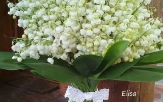 Persoană fizică ofer spre închiriere apartament cu două camere Podu Ros - Poză 1