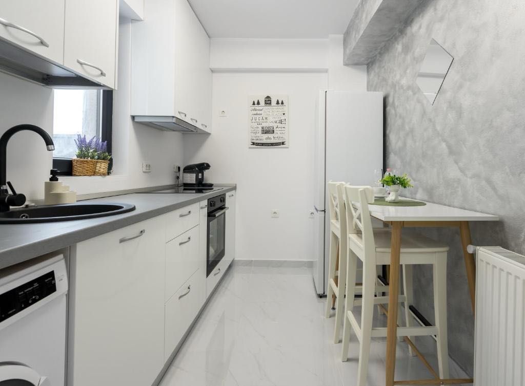 Apartament 2 camere Herastrau - Poză 3