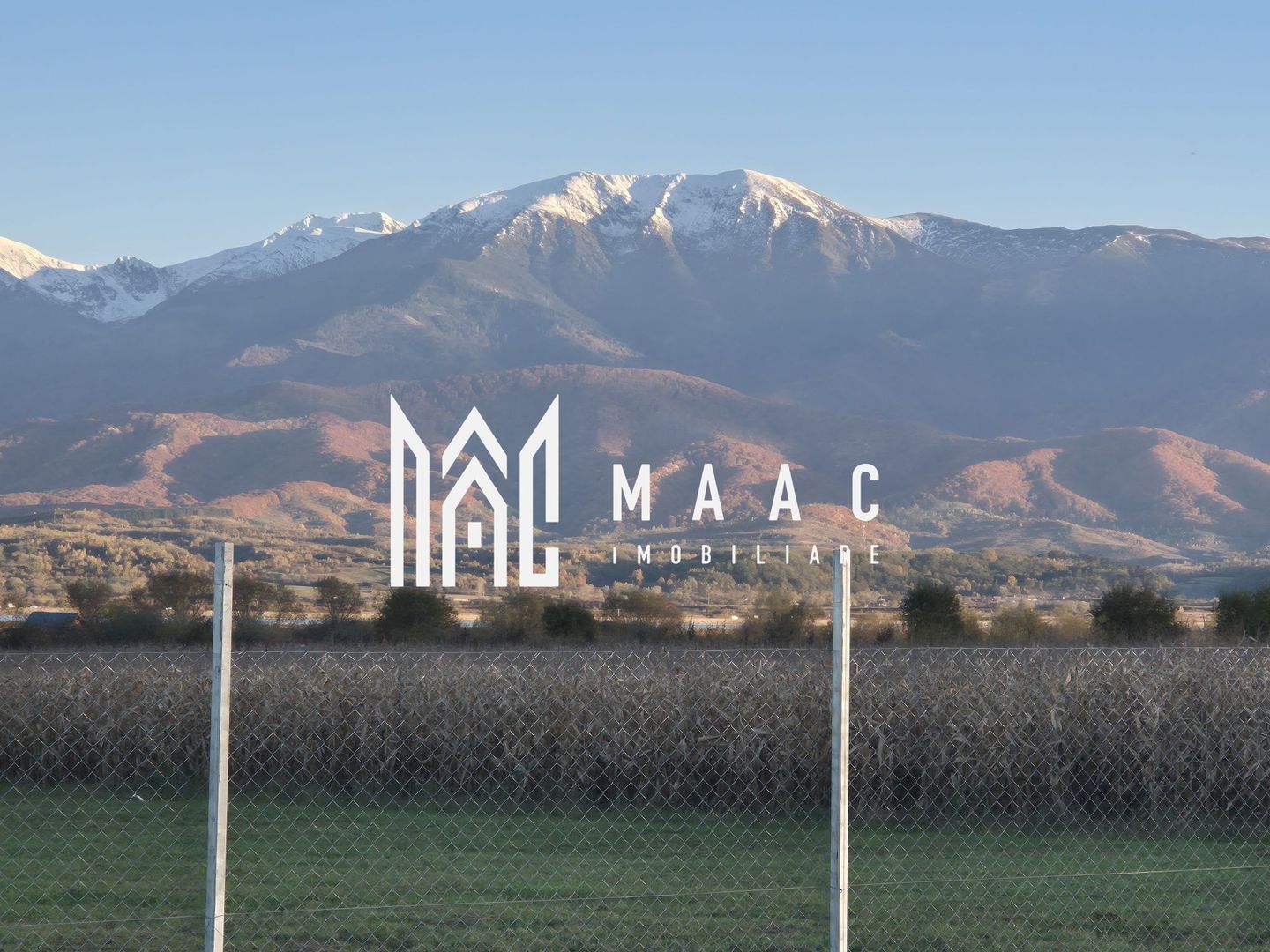 Teren | EXTRAVILAN | 500 MP | Bradu - Poză 3