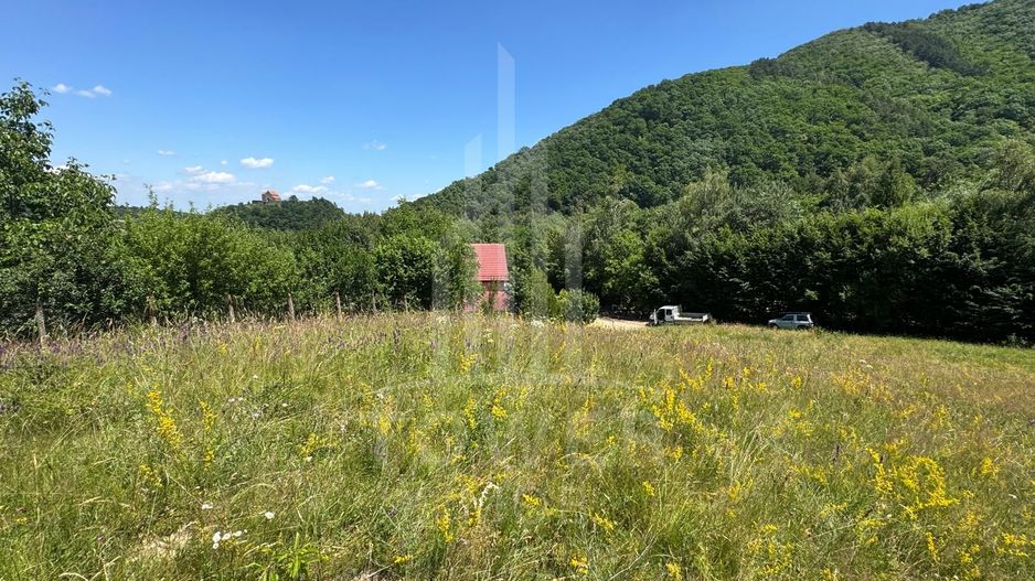 Teren intravilan 4600mp - 55 EUR/mp - EXCLUSIVITATE CISNADIOARA - COMISION 0% - Poză 8