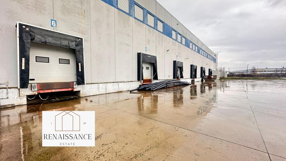 Hala Moderna 6200mp | Panouri Solare - Freidorf - Acces la Centura - Poză 9