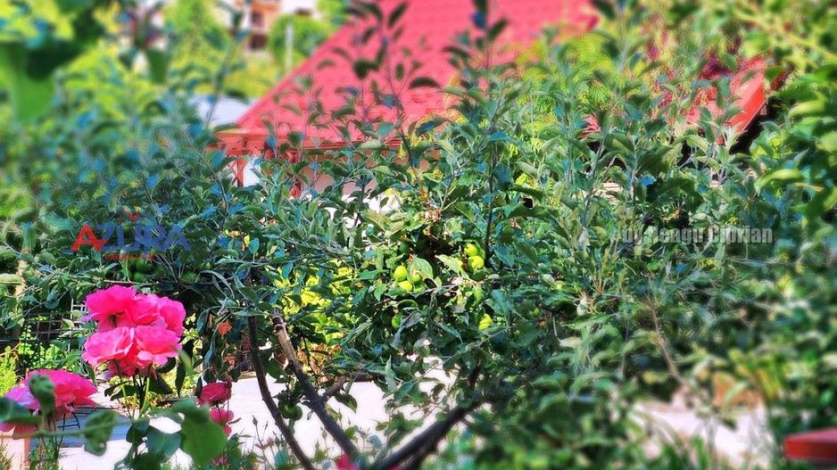 AZURA Imobiliare Pitesti - Casa Gavana Pozitie Excelenta - Poză 67