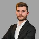 Andrei Scutaru - THE BLACK SWAN