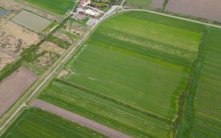 Teren extravilan de 22500mp Zona Ineu - Poză 10