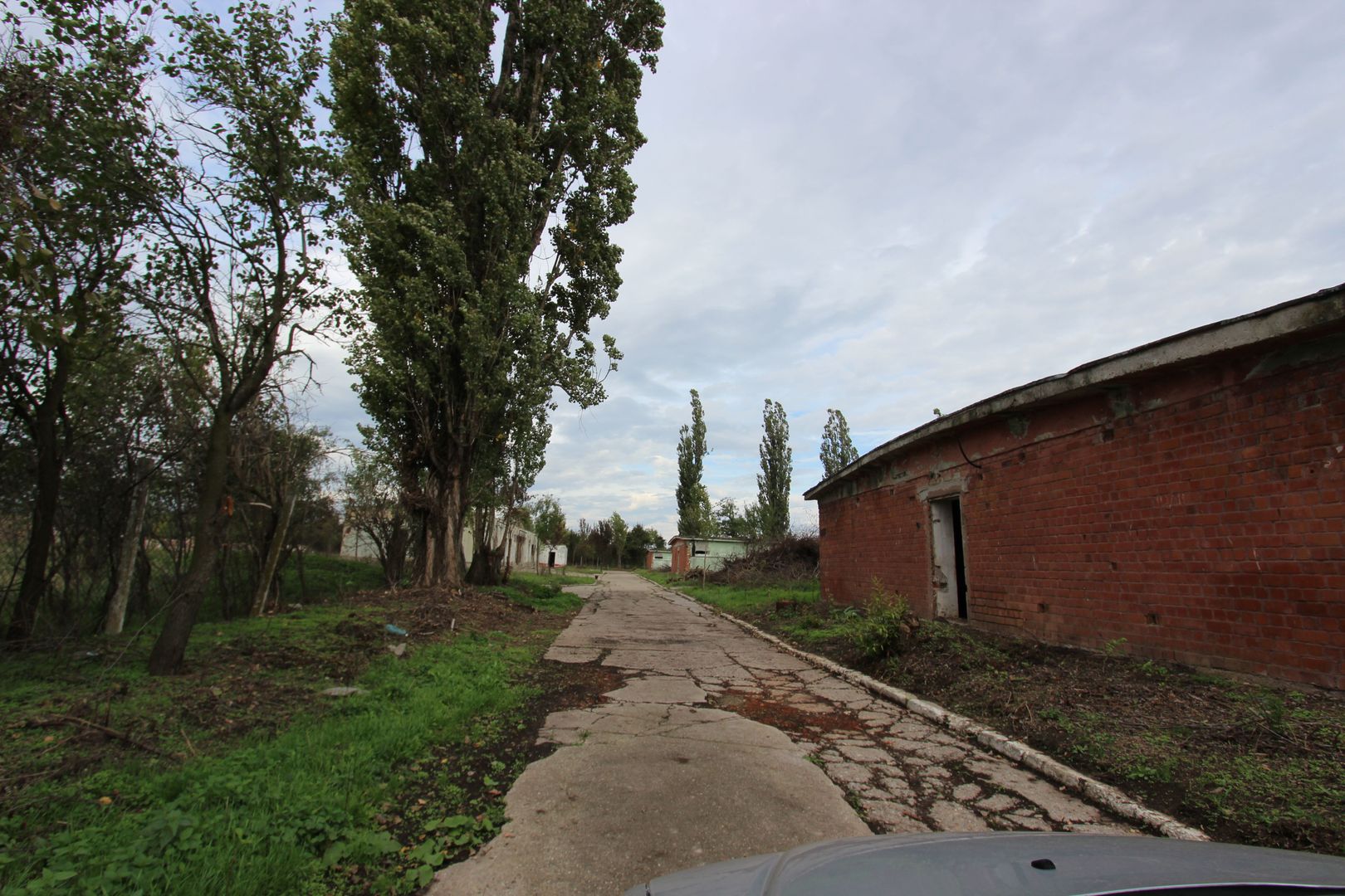 Vanzare hale Mosnita Noua-fosta Ferma 7 - Poză 34