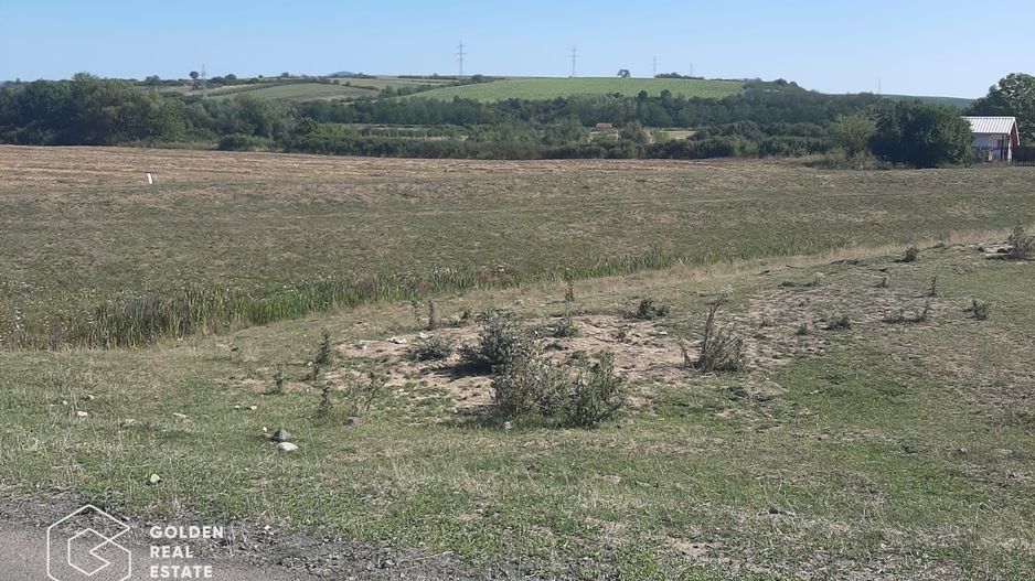 Terenuri 3699 mp, oras Lipova - Poză 1