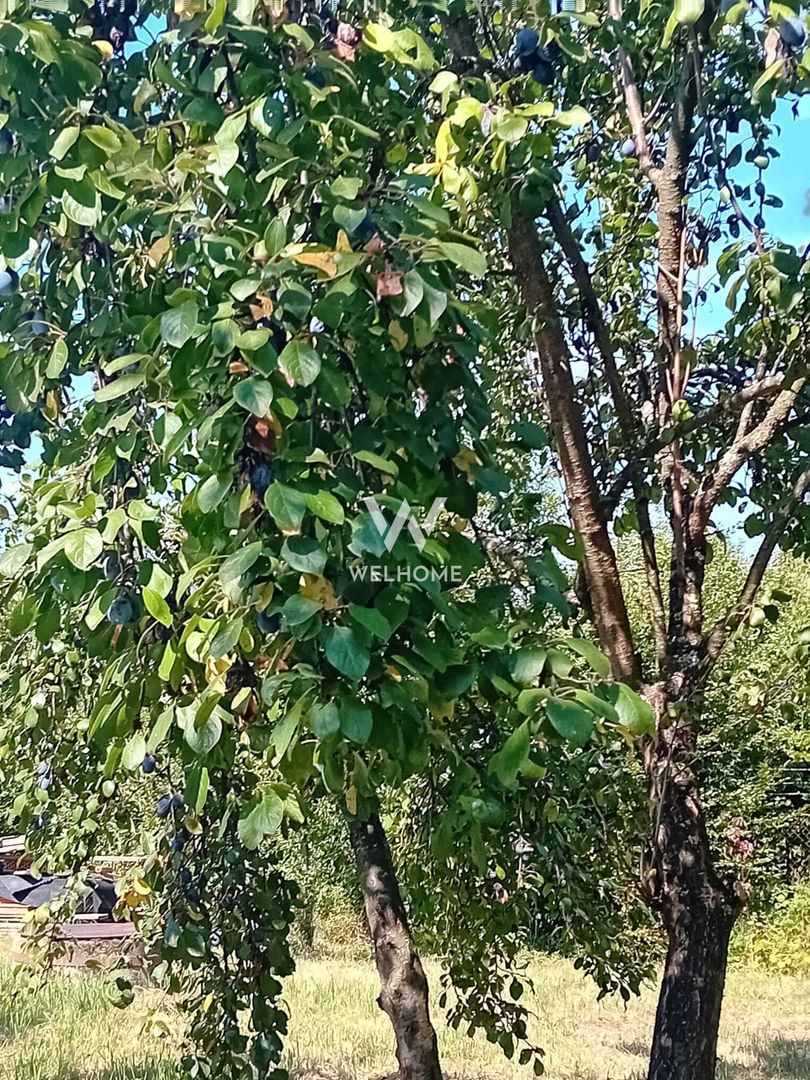 974 mp de vis, între pădure și cer - Teren intravilan, Cisnadioara, Sibiu - Poză 7