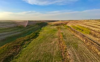 Teren Daia 75000 mp cu balta 30000 mp izvoare - Poză 4
