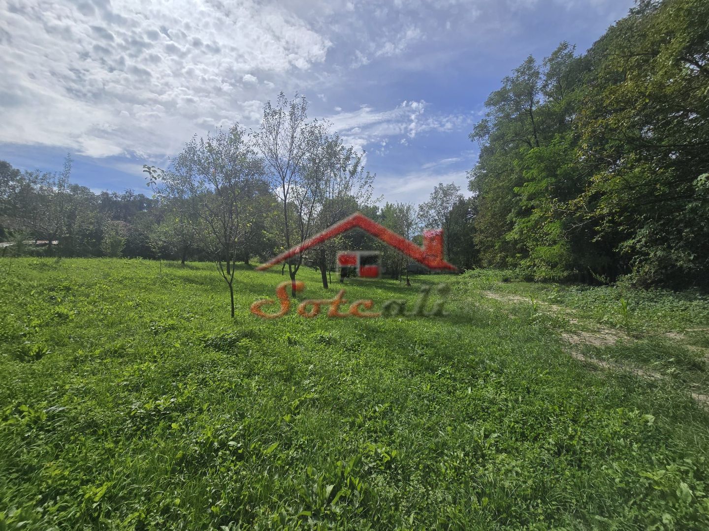Oportunitate de investiție în Breaza – teren intravilan de 3.591 mp - Poză 1