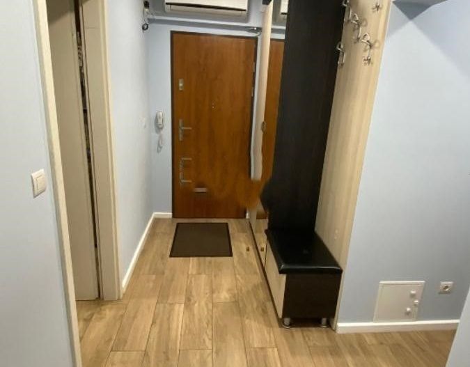 Apartament 3 camere zona Basarabiei - Costin Georgian - Carei - Poză 4