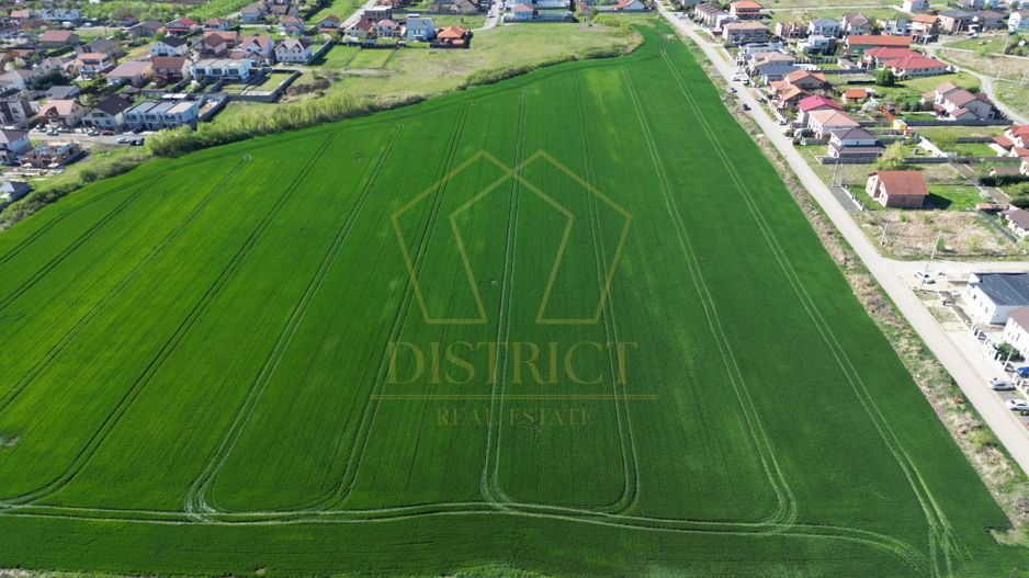 PUZ pentru servicii 7540mp | Dumbravita - Poză 2