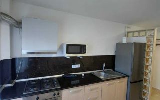 Garsoniera atragatoare, Calea Mosilor - Poză 5