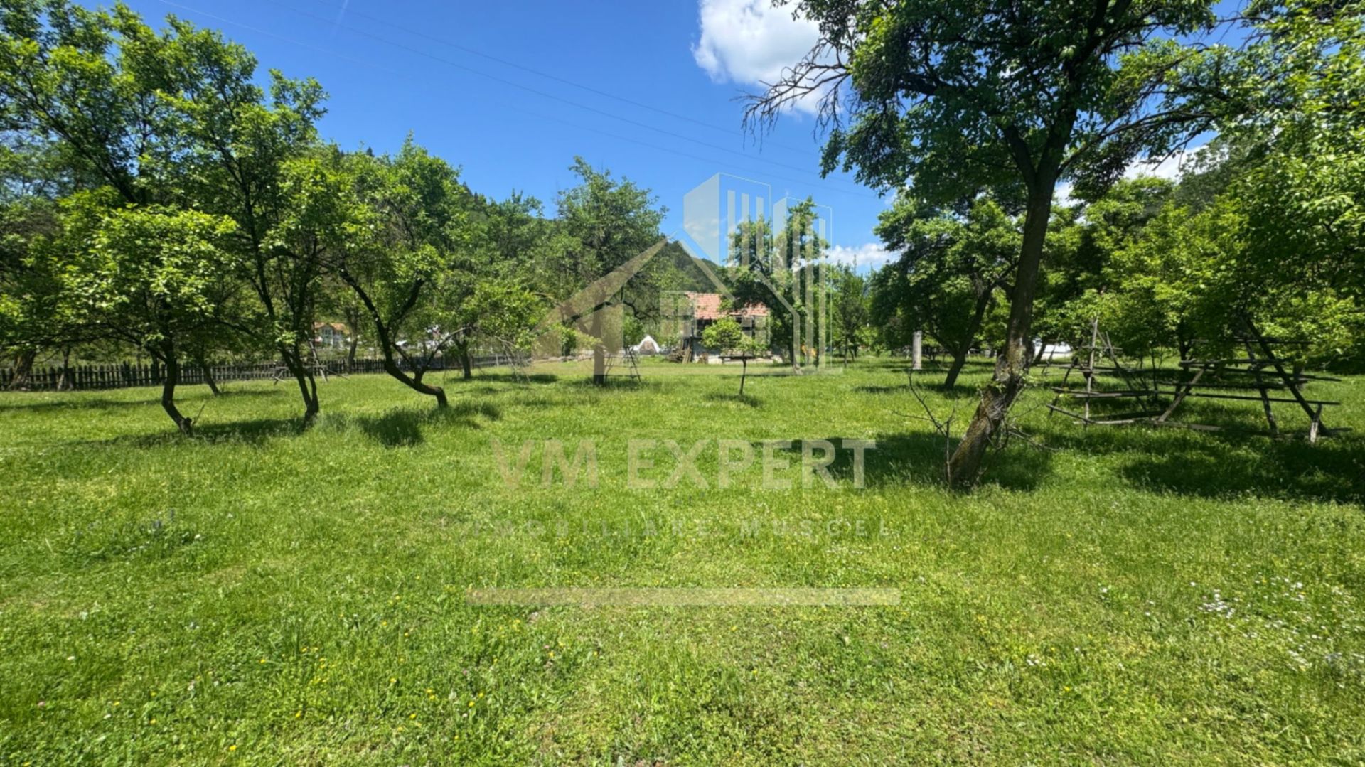 TEREN INTRAVILAN 3477 MP STOENEȘTI BĂDENI ARGEȘ - Poză 19