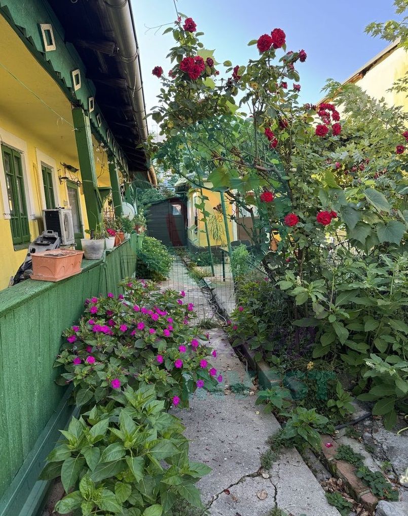 "Casuta bunicii" cu teren 344m2 zona Mărțișor lângă parcul Orășelul Copiilor - Poză 3