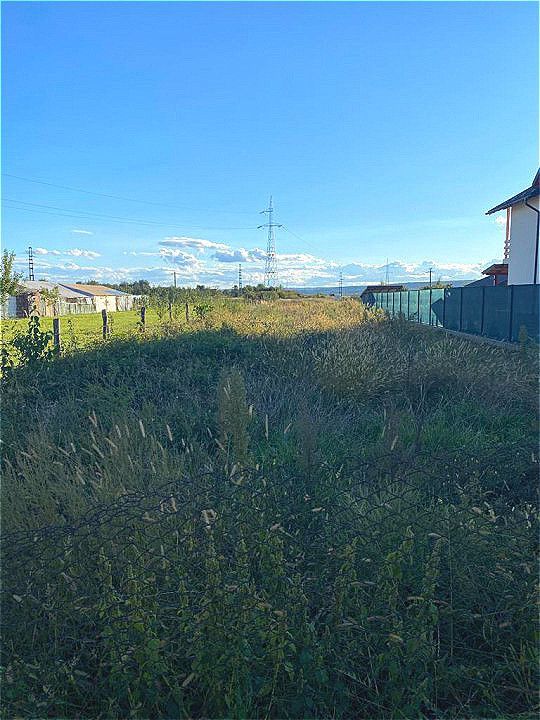 Vanzare Teren Colibasi Intravilan - Poză 2