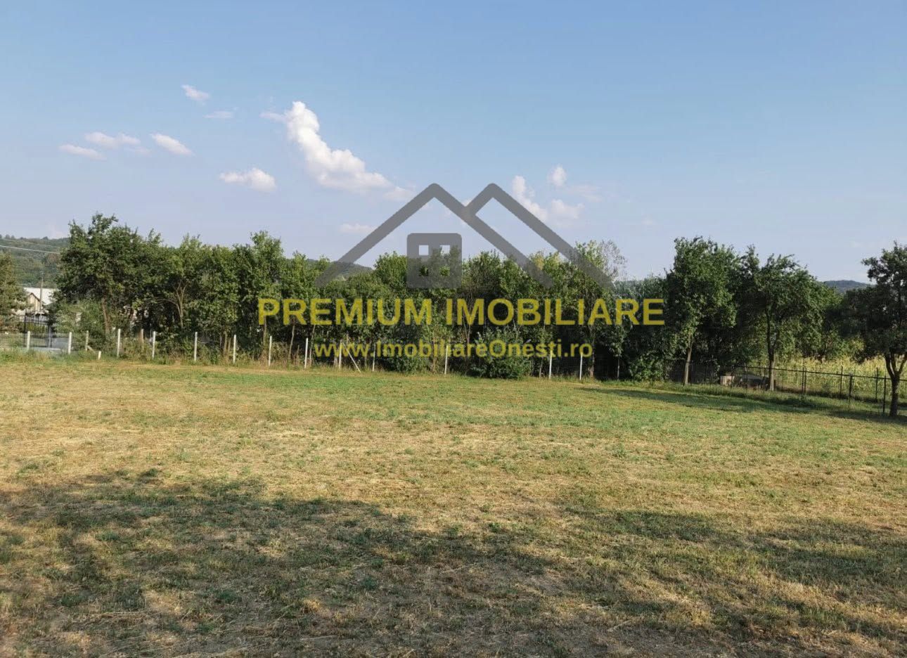 Teren de vanzare - Lupesti, com. Mănăstirea Cașin - Poză 2