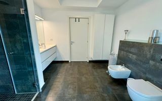 Vila complex privat Erou  Iancu Nicolae - Poză 30