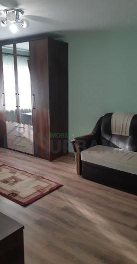 Închiriez apartament cu o cameră in Nicolina - Poză 12