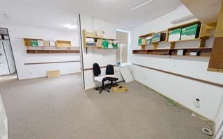 Inchiriere Vila Conslidata Cismigiu - Poză 15
