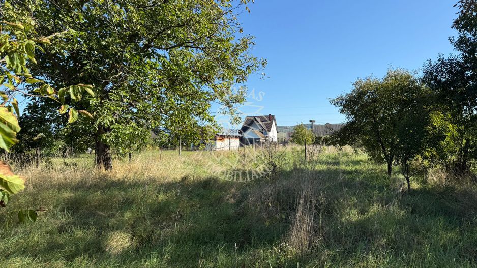 Teren intravilan 965 mp-imprejmuit-ideal casa-Livezile - Poză 6